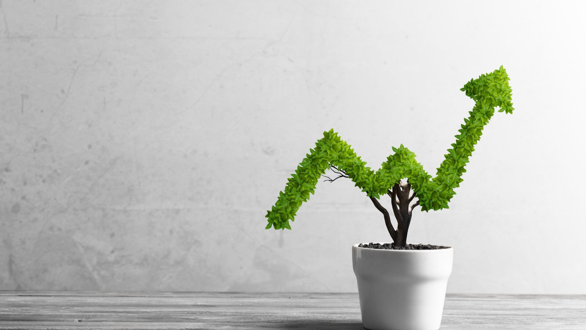 Crecimiento sostenible por los criterios ESG